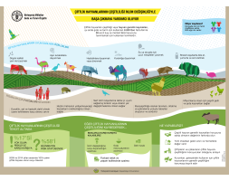Çiftlik hayvanlarının çeşitliliği iklim değişikliğiyle başa çıkmaya yardımcı oluyor